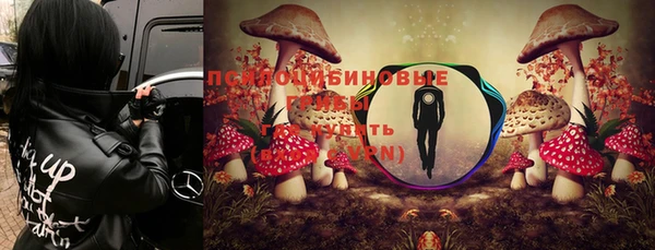 а пвп мука Богородицк