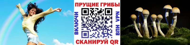 Псилоцибиновые грибы Psilocybe Купить Нариманов